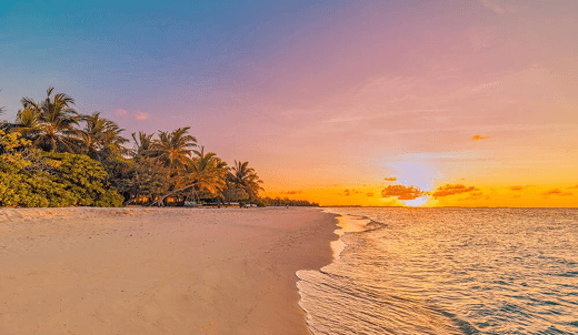 Cape Town Beach Escape